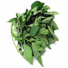 Bitter Leaf